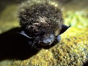 Ботовская пещера_003.JPG