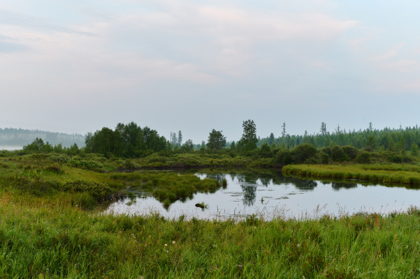 Магданский
