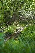 родники горы веселой