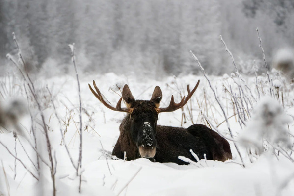 Правила посещения заказников