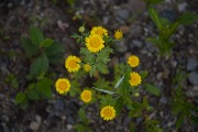 Иркутск0038.jpg