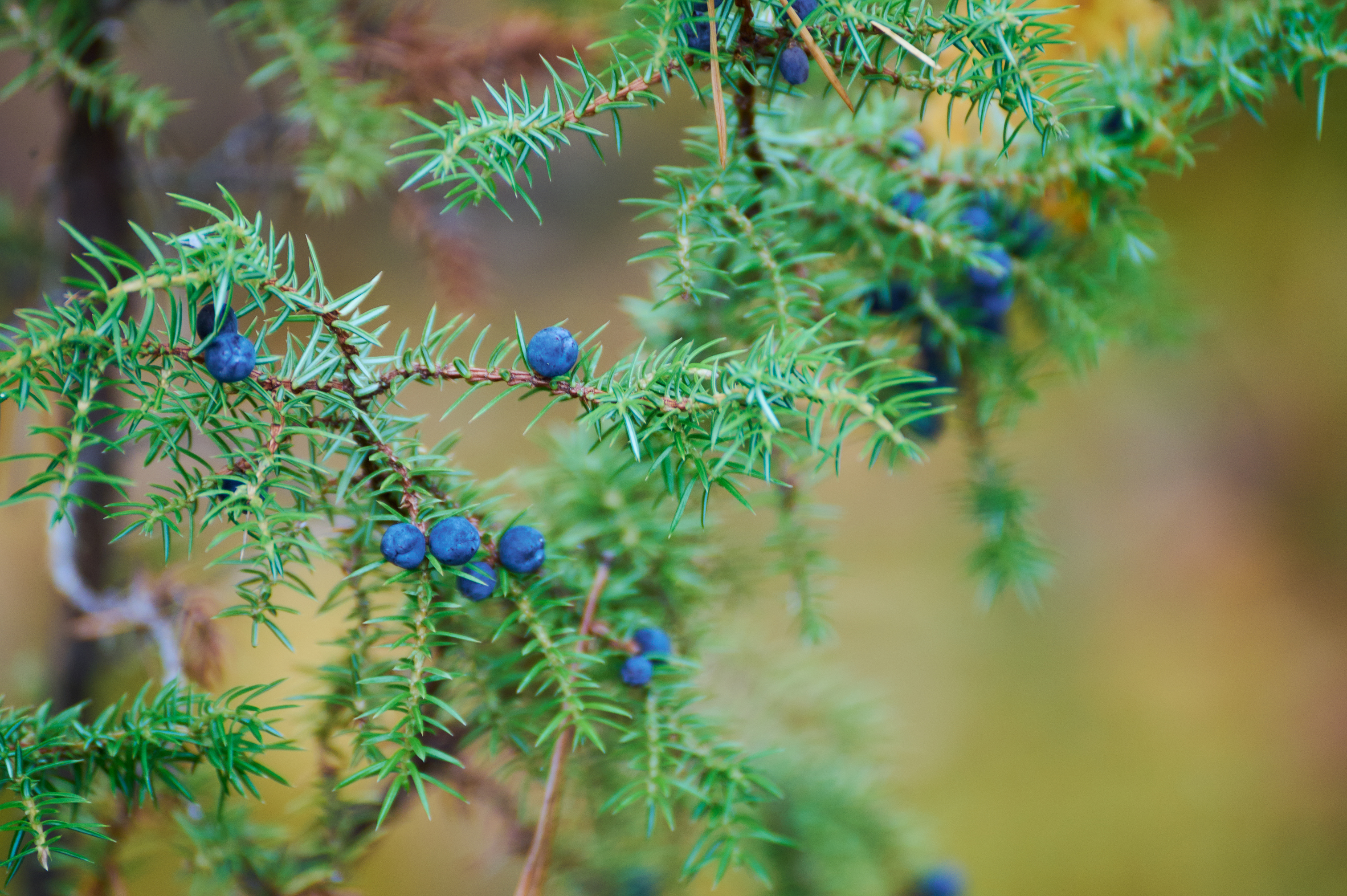 Фото 10