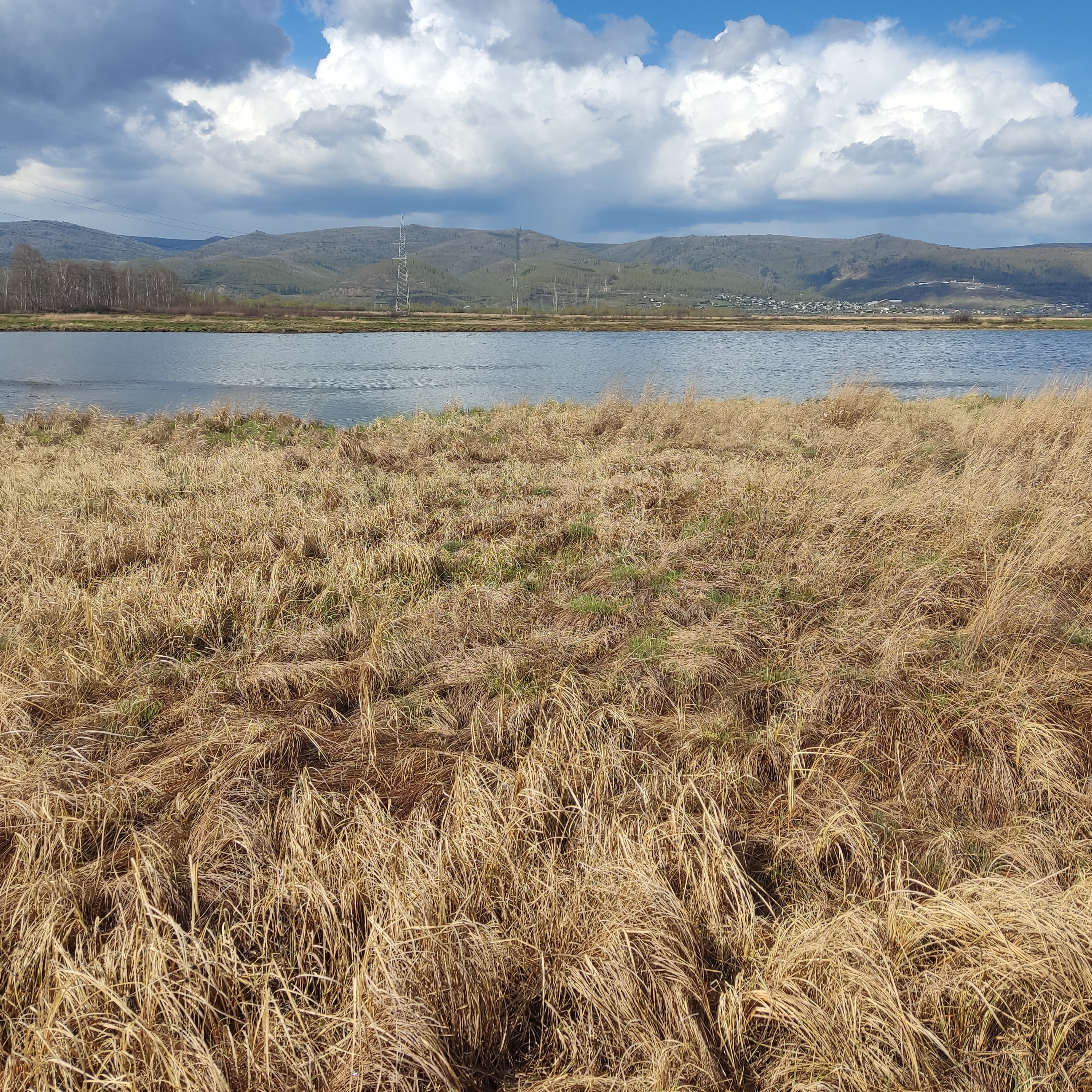 Таловский озерно-болотный комплекс