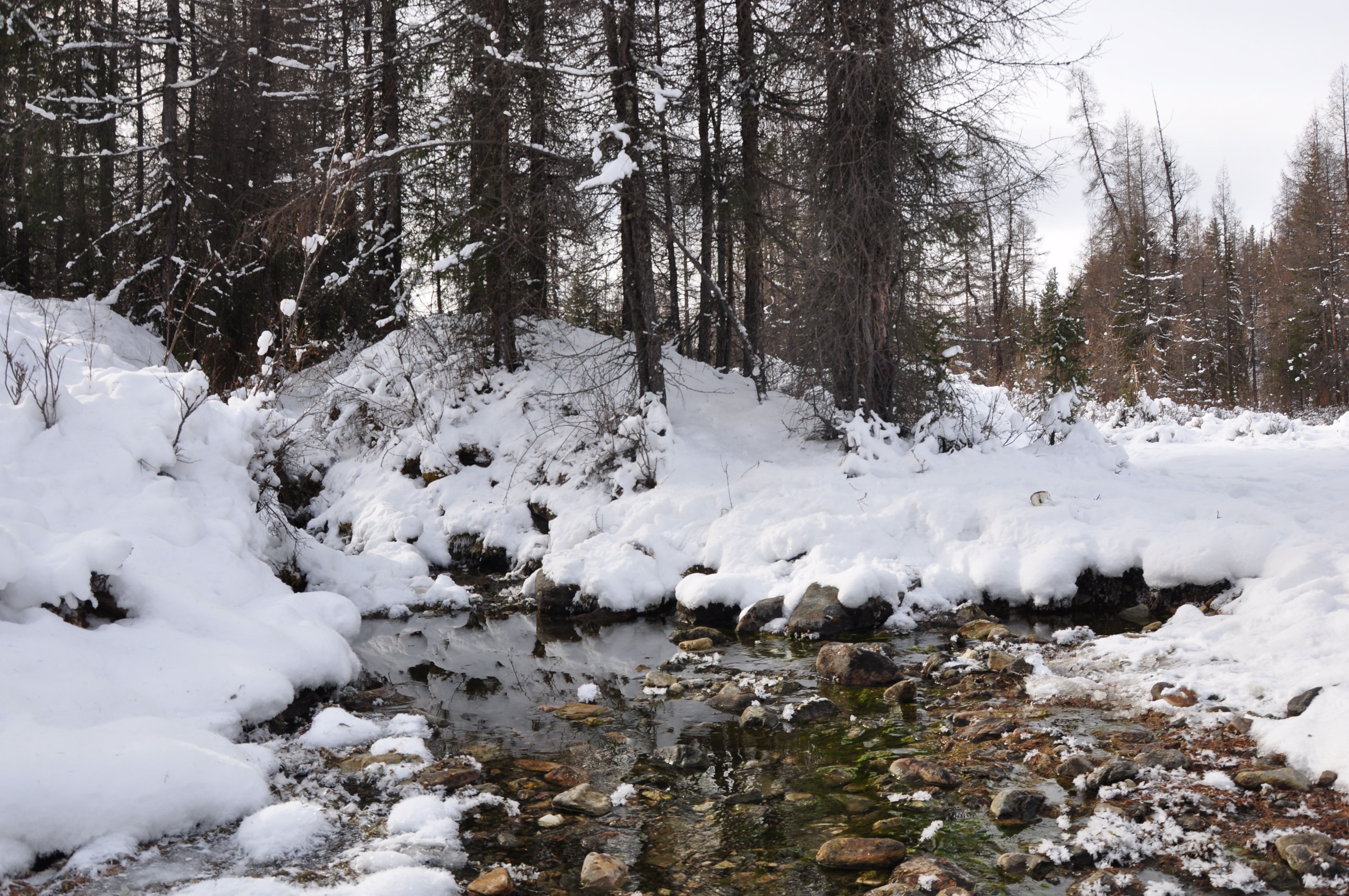 Черно-Бирюсинский источник