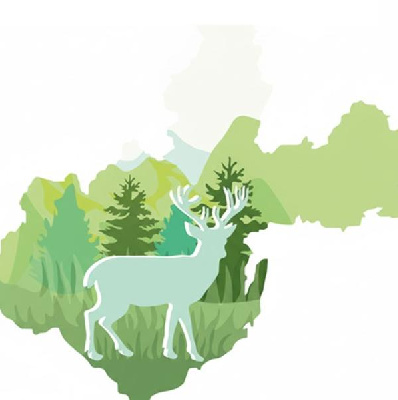 4 года Дирекции