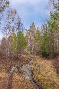 Кочергатский_З_осень_027 copy.jpg