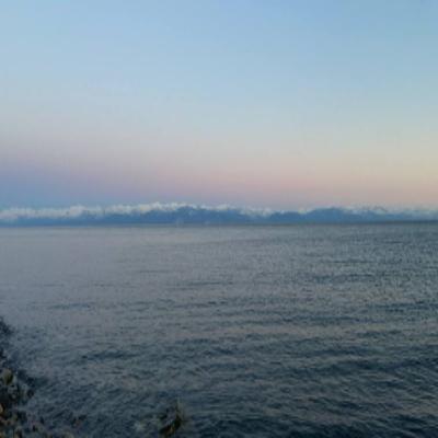 День заповедников и национальных парков отмечают сегодня