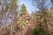 Кочергатский_З_осень_016 copy.jpg