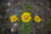 Иркутск0039.jpg