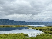Таловский_озёрно_болотный_комплекс