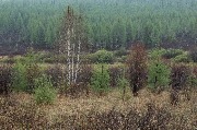 Зак_Магданский_весн_07 copy