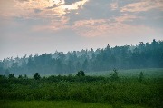 AOK_4899.jpg