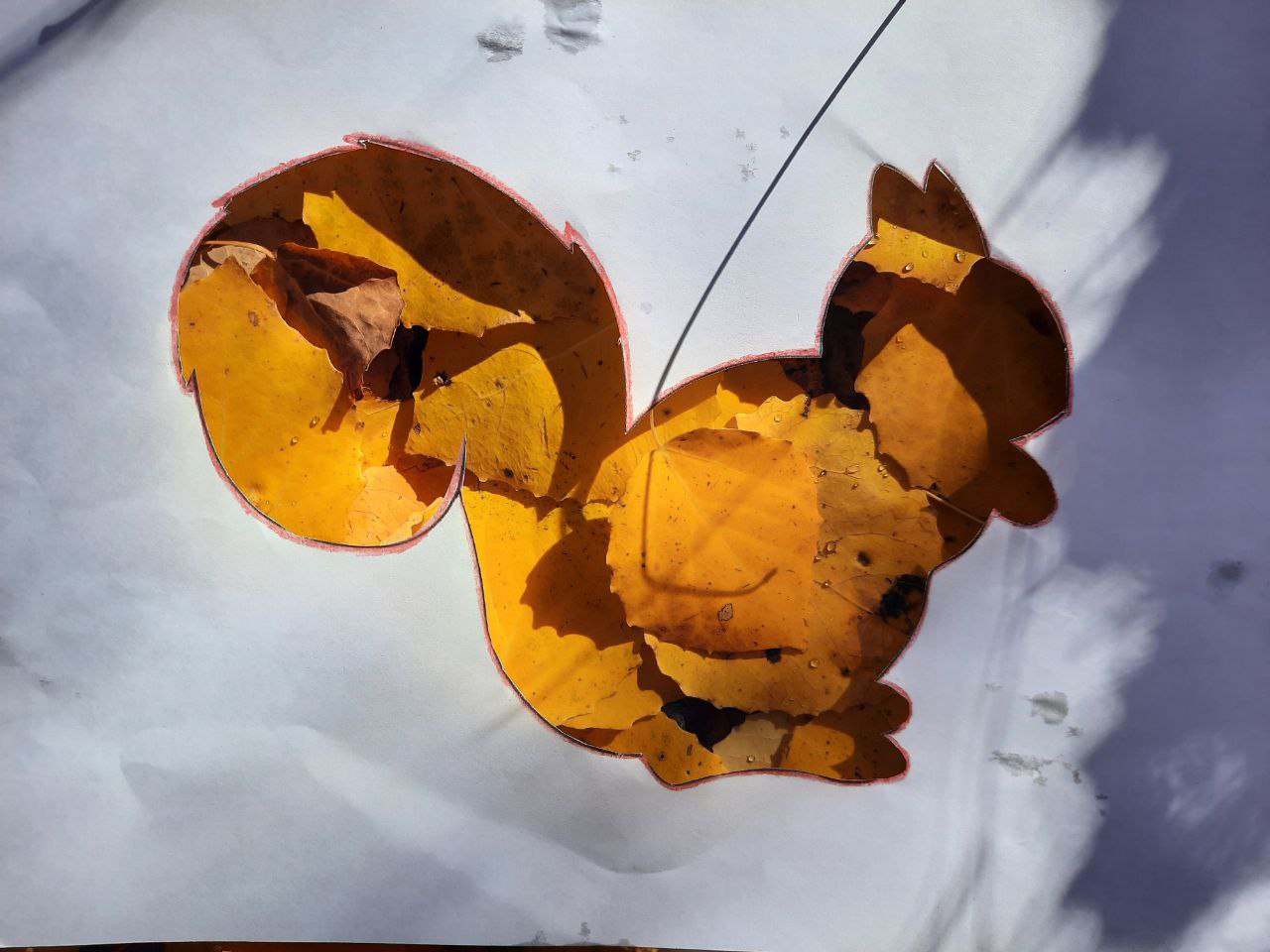 Фото 4