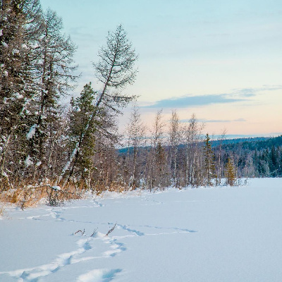 День рождения заказника Озёрный