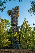 Идол_осень_001 copy.jpg