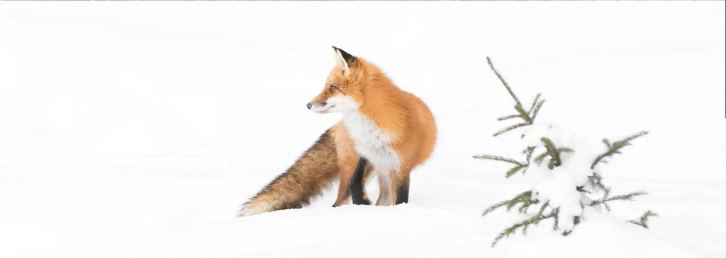 Зулумайский заказник.png